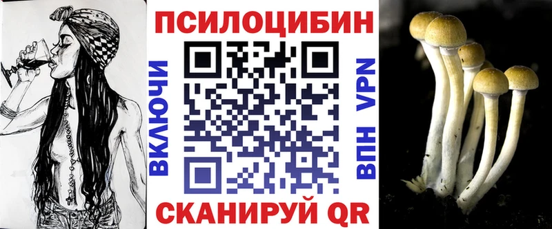 Купить где  Козьмодемьянск  Галлюциногенные грибы Magic Shrooms 